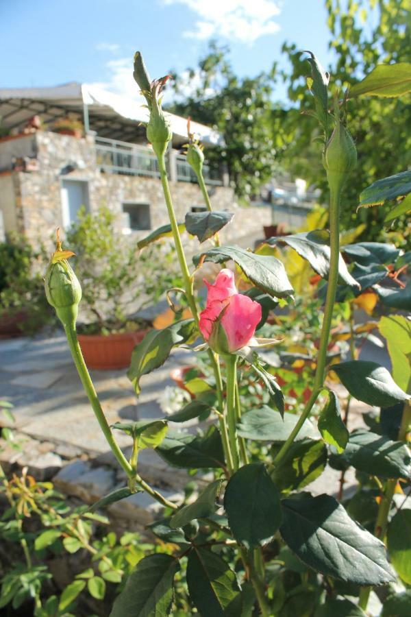 جنوة B&B Ca Dei Fre المظهر الخارجي الصورة
